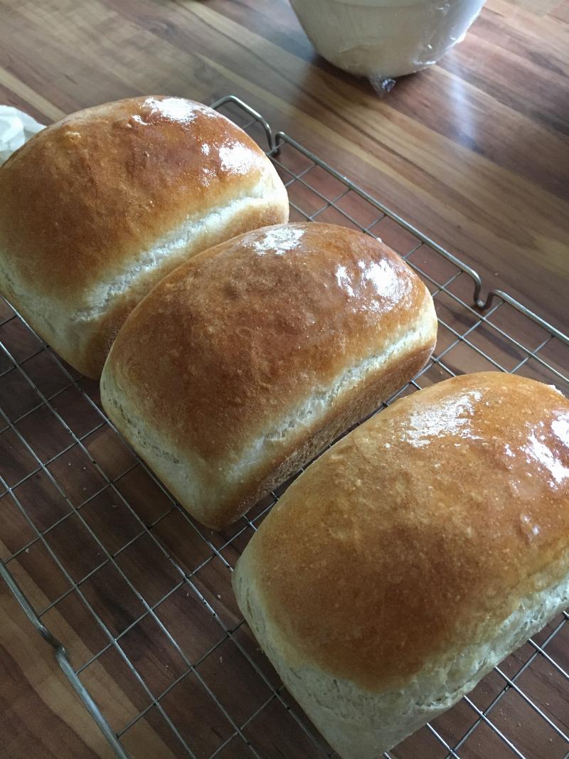 Freshly Baked Amish White Bread Loaf