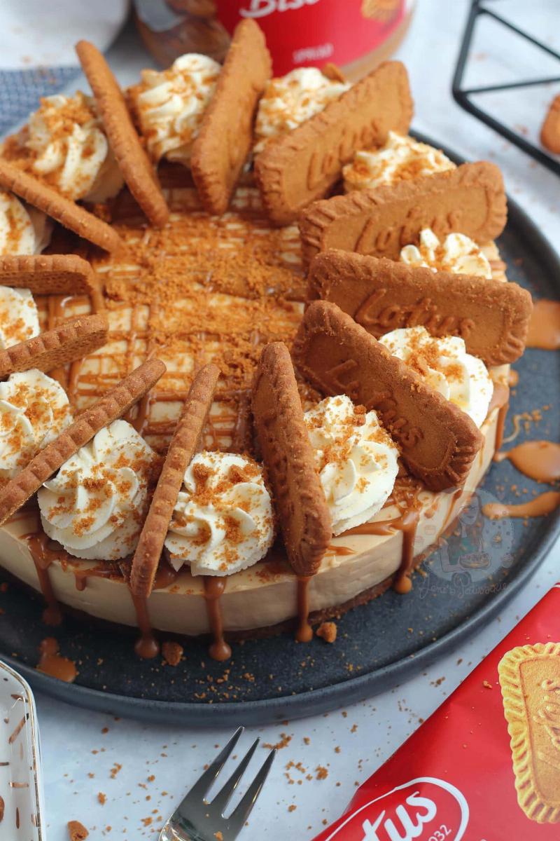 Biscoff Cookie Butter Cheesecake Slices