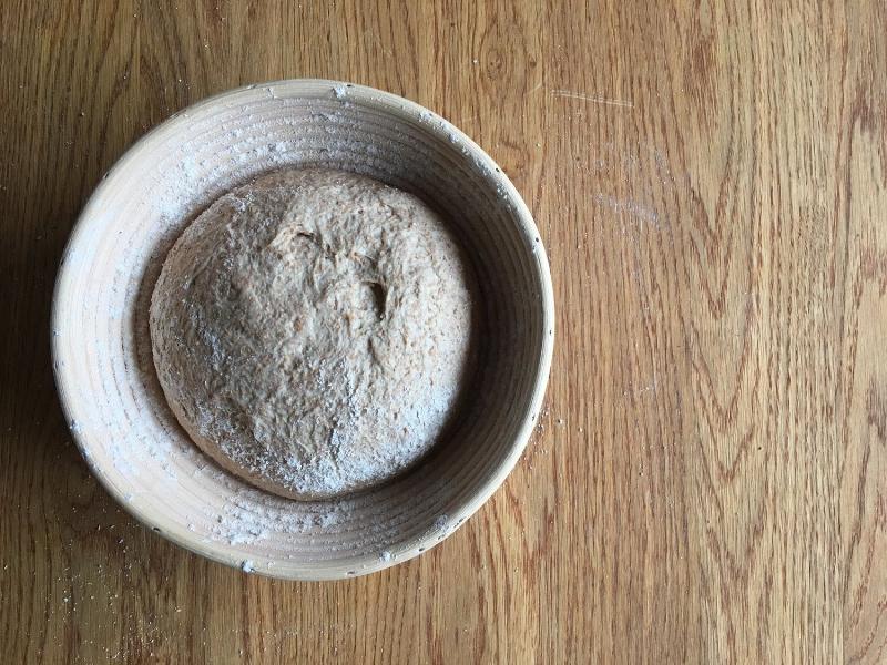 Bread Dough Rising in a Warm Environment