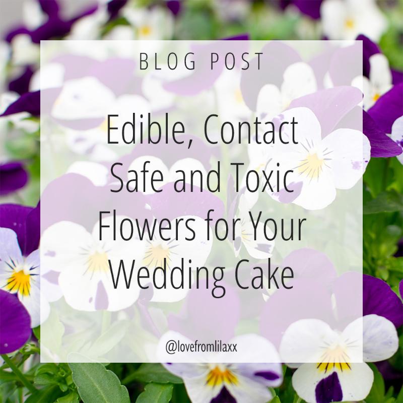 Choosing edible flowers for cupcake decoration