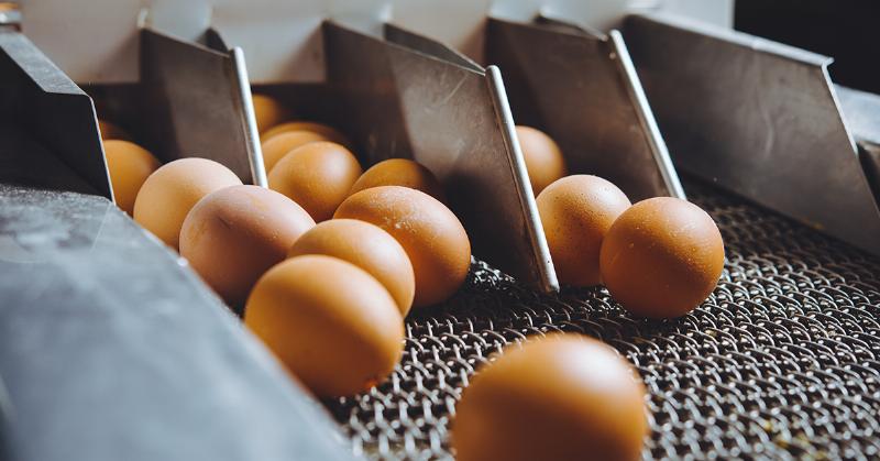 Commercial Egg Replacers for Baking