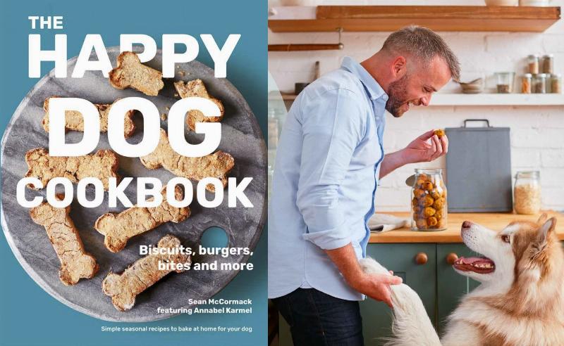 Happy Dog Enjoying Homemade Cake