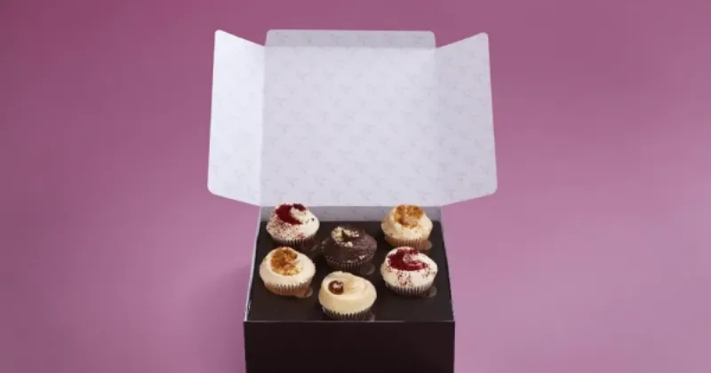 Various airtight containers for storing frosted cupcakes.