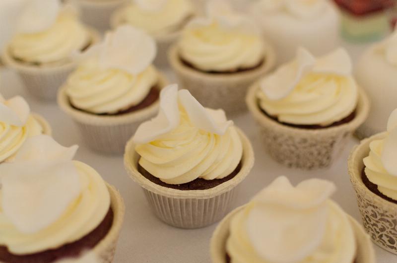 Frosted Keto Vanilla Cupcakes