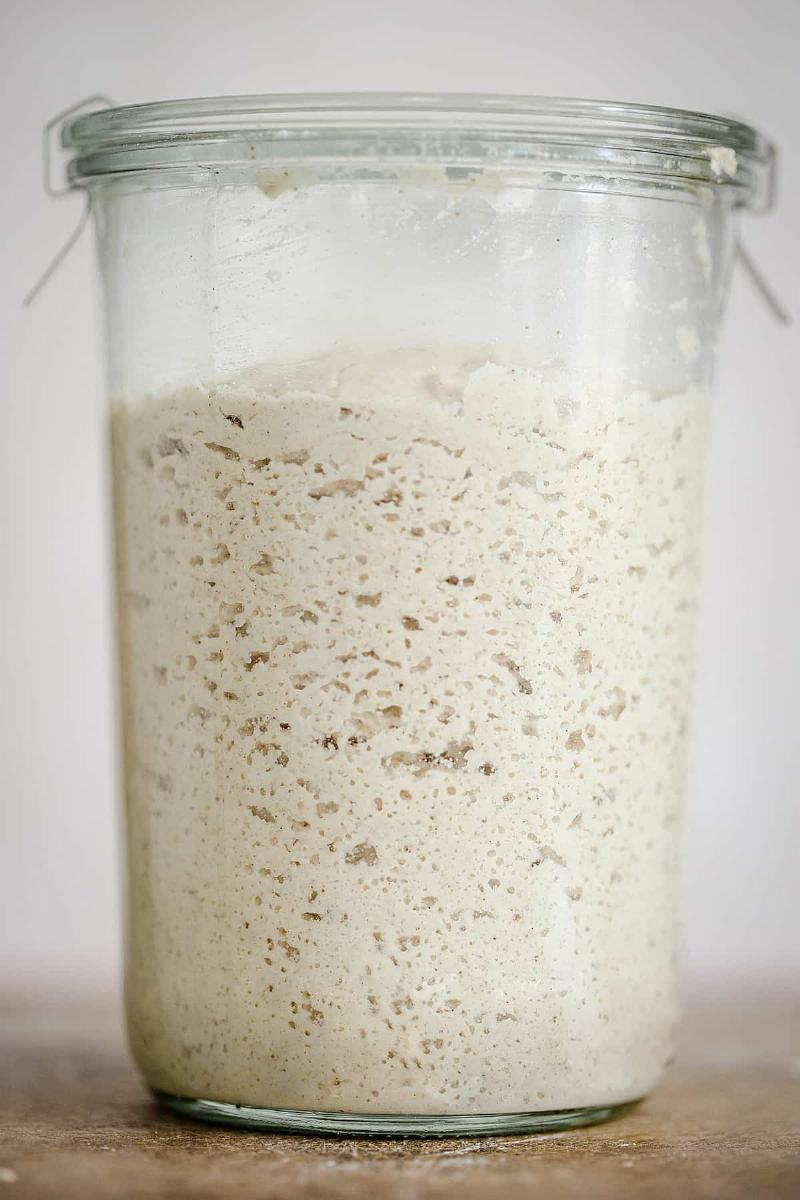 Active Gluten-Free Sourdough Starter Bubbling