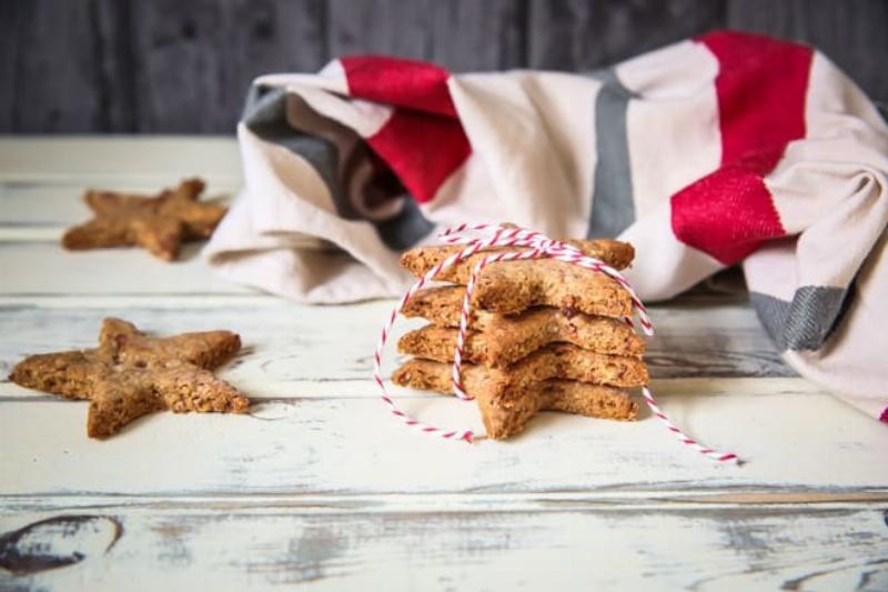 Happy Dog Enjoying Homemade Cookie