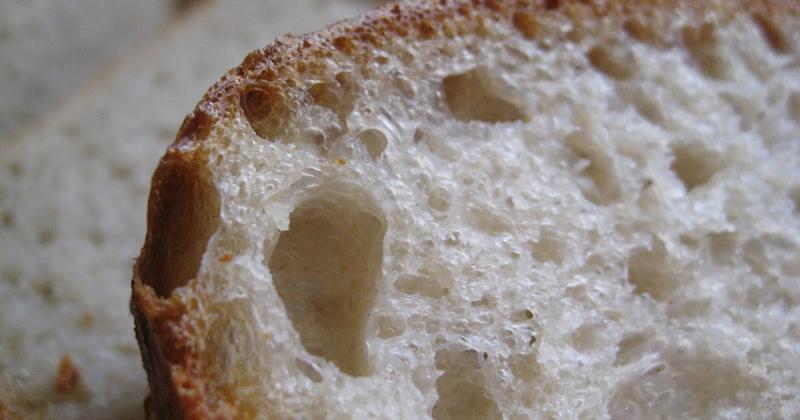 Hydration Levels in Different Bread Types