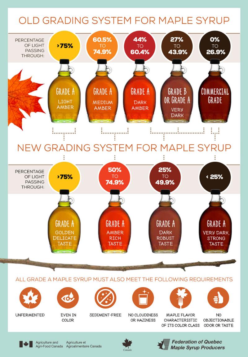 Comparing different maple syrup grades