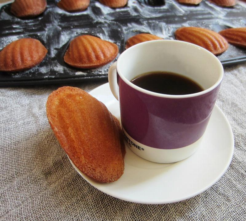 The Perfect Madeleine Hump: A Sign of Baking Success