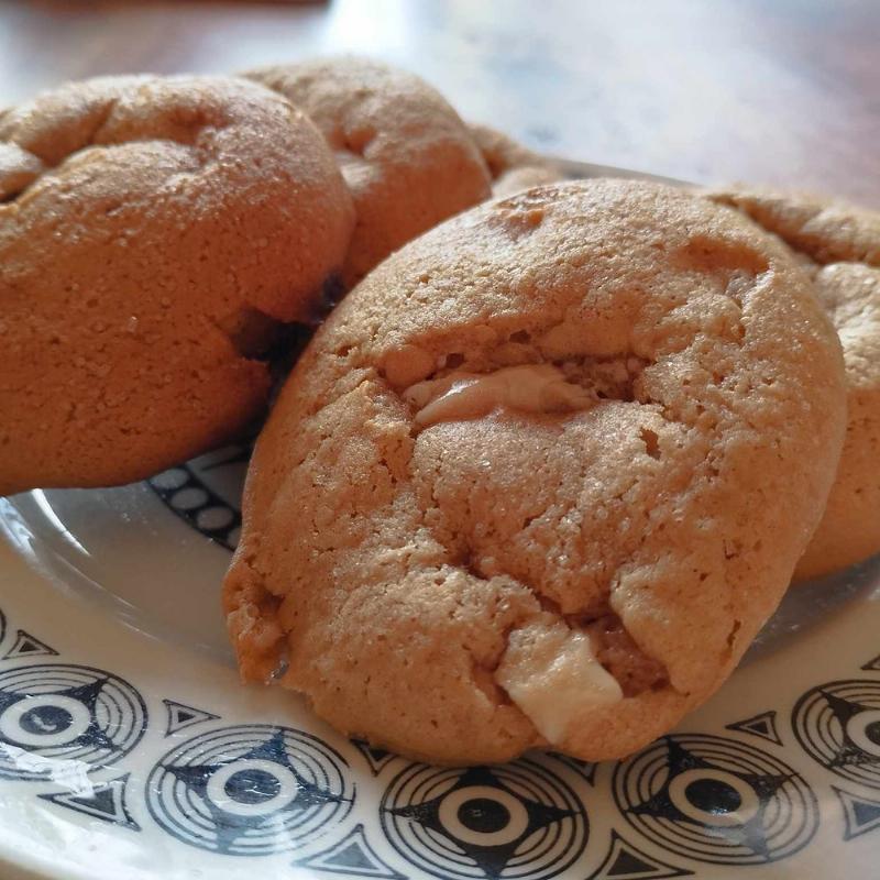 Perfectly Baked Cinnamon Cookies on a Wire Rack