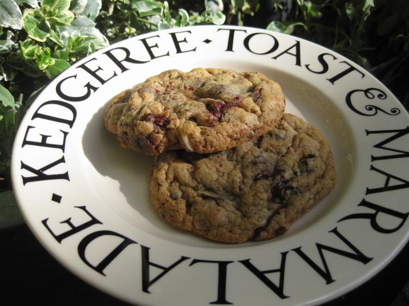 Perfectly Baked Raisin Cookies on Baking Sheet