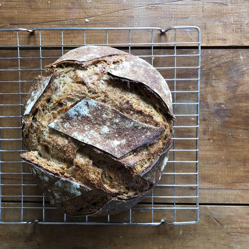 Shaping Whole Wheat Dough in a Loaf Pan