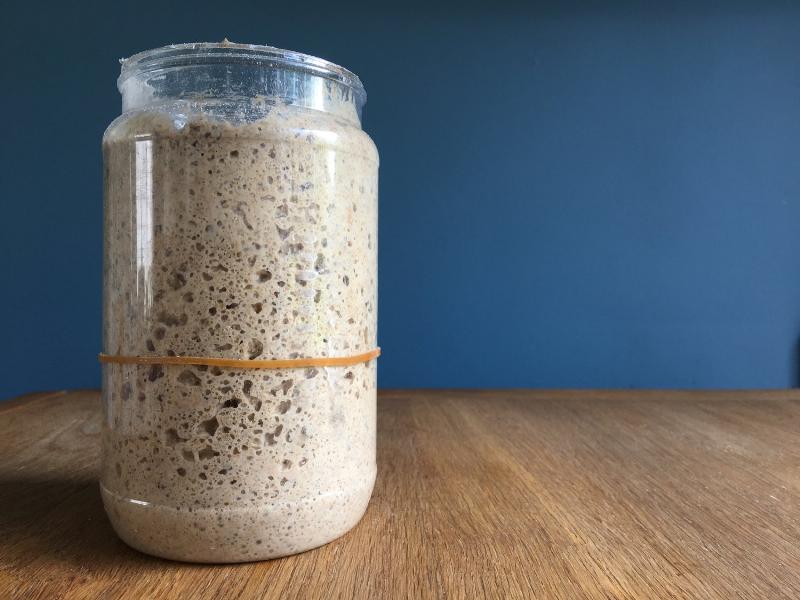 Sourdough Starter Bubbling