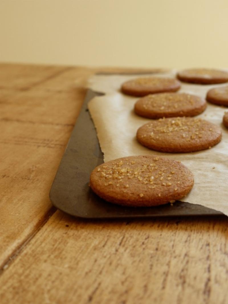 Variations of Ginger Snap Cookies: Chocolate, Lemon, and Spicy