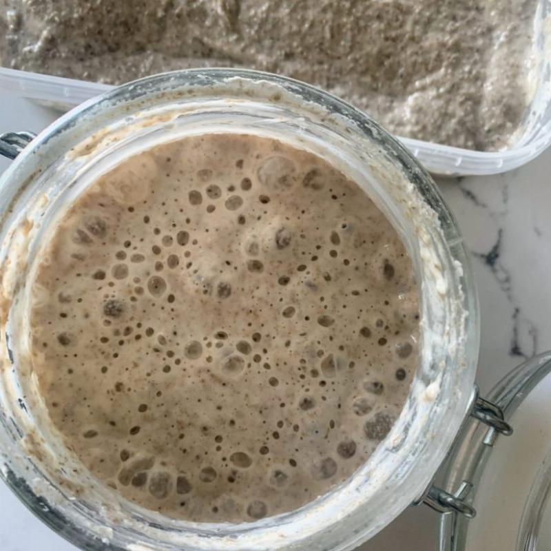 Vegan sourdough starter bubbling on day 7