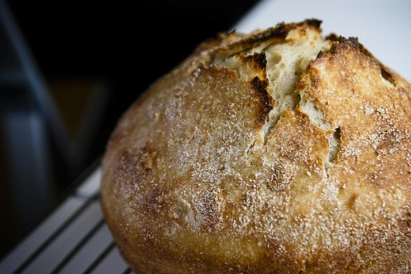 Whole Wheat Bread Crust Variations