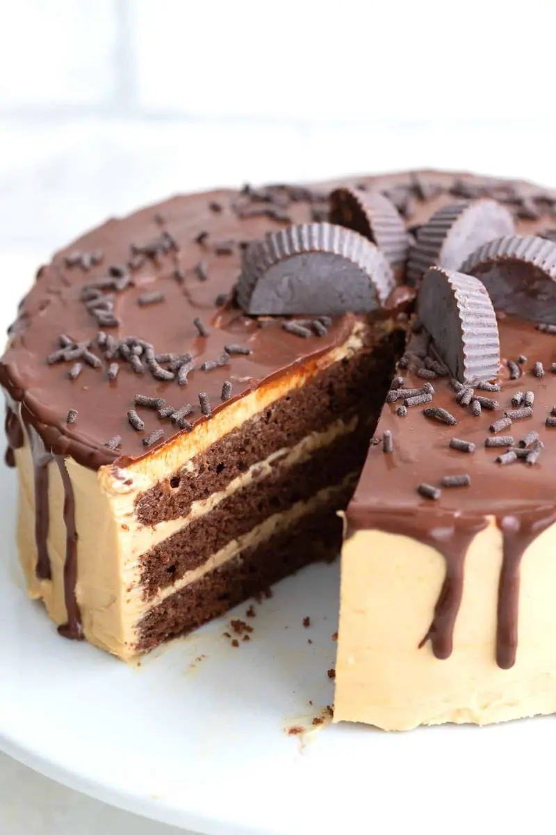 Keto Peanut Butter Almond Butter Cake with Peanut Butter Frosting